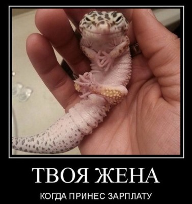 12.jpg (94.91 КБ) 2141 просмотр 12.jpg