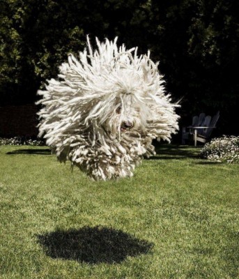 16.jpg (204.66 КБ) 2822 просмотра 16.jpg