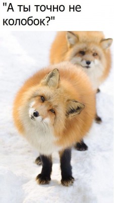 15.jpg (82.48 КБ) 2860 просмотров 15.jpg