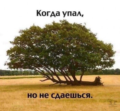 12.jpg (146.43 КБ) 2774 просмотра 12.jpg