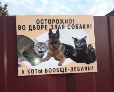 12.jpg (75.09 КБ) 2745 просмотров 12.jpg