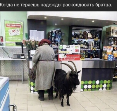 15.jpg (132.34 КБ) 2650 просмотров 15.jpg