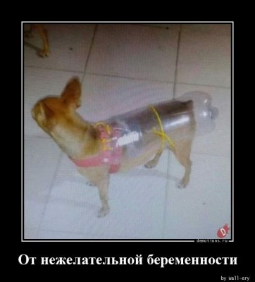 13.jpg (43.4 КБ) 2698 просмотров 13.jpg