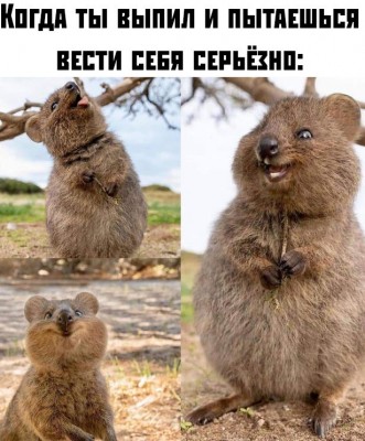 11.jpg (113.14 КБ) 2557 просмотров 11.jpg