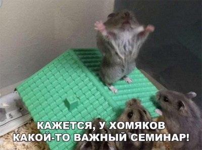 14.jpg (69.75 КБ) 2515 просмотров 14.jpg