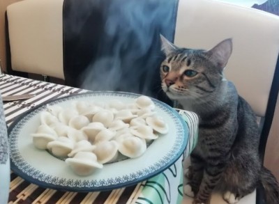 13.jpg (87.02 КБ) 2452 просмотра 13.jpg