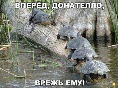 12.jpg (93.63 КБ) 2359 просмотров 12.jpg