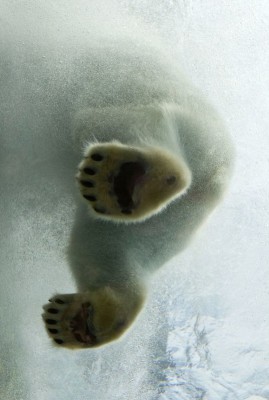 11.jpg (139.06 КБ) 2266 просмотров 11.jpg