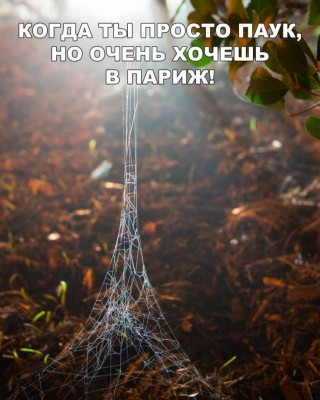 18.jpg (115.84 КБ) 2314 просмотров 18.jpg