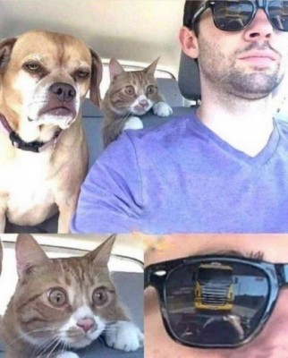 13.jpg (114.29 КБ) 2214 просмотров 13.jpg