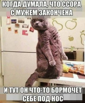 14.jpg (121.35 КБ) 2146 просмотров 14.jpg