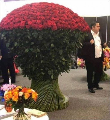 13.jpg (69.35 КБ) 2717 просмотров 13.jpg