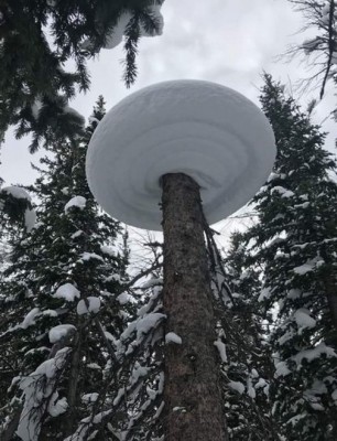 13.jpg (140.61 КБ) 2406 просмотров 13.jpg