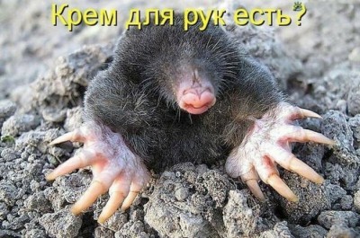 18.jpg (155.04 КБ) 2405 просмотров 18.jpg