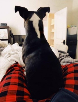 16.jpg (43.35 КБ) 2197 просмотров 16.jpg