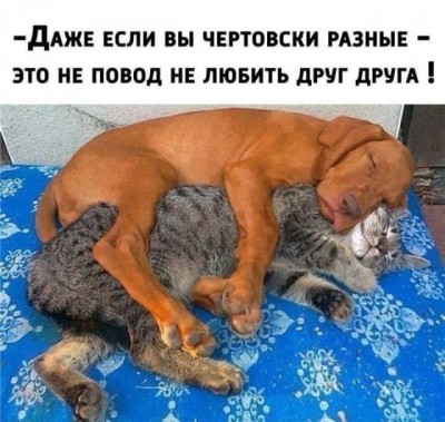 16.jpg (109.4 КБ) 1957 просмотров 16.jpg