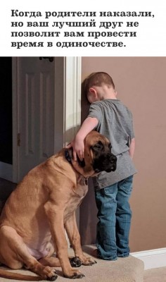 16.jpg (191.11 КБ) 2575 просмотров 16.jpg