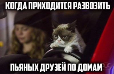 13.jpg (80.2 КБ) 2572 просмотра 13.jpg