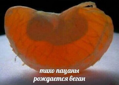 14.jpg (87.17 КБ) 2549 просмотров 14.jpg