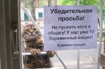 11.jpg (105.7 КБ) 2557 просмотров 11.jpg