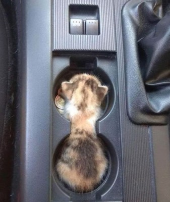 12.jpg (155.48 КБ) 2547 просмотров 12.jpg