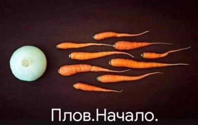 11.jpg (37.95 КБ) 2521 просмотр 11.jpg