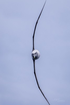 15.jpg (117.5 КБ) 2484 просмотра 15.jpg