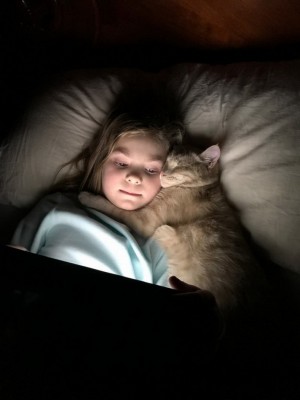 13.jpg (112.88 КБ) 2449 просмотров 13.jpg