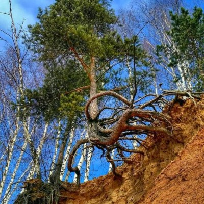 16.jpg (108.65 КБ) 2450 просмотров 16.jpg