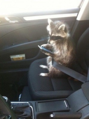 11.jpg (103.95 КБ) 2295 просмотров 11.jpg