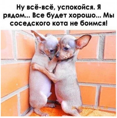 14.jpg (149.82 КБ) 3008 просмотров 14.jpg