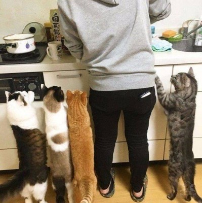 13.jpg (82.2 КБ) 3027 просмотров 13.jpg