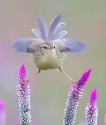 11.jpg (73.8 КБ) 2982 просмотра 11.jpg