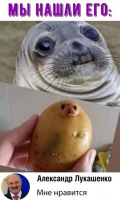 14.jpg (125.85 КБ) 2779 просмотров 14.jpg