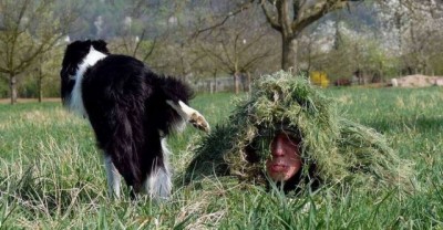 16.jpg (87.92 КБ) 2764 просмотра 16.jpg