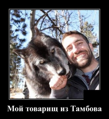 12.jpg (132.04 КБ) 2777 просмотров 12.jpg