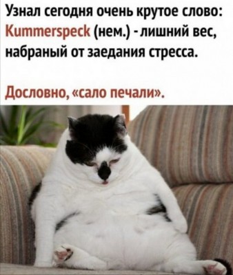 12.jpg (122.84 КБ) 3610 просмотров 12.jpg