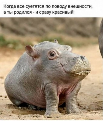 14.jpg (132.01 КБ) 3610 просмотров 14.jpg