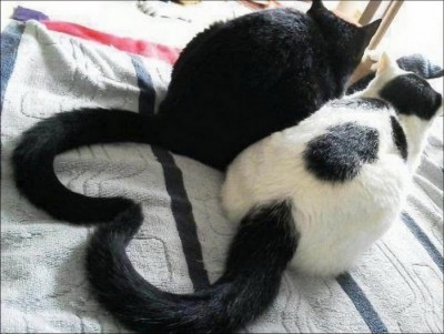 11.jpg (122.24 КБ) 3574 просмотра 11.jpg