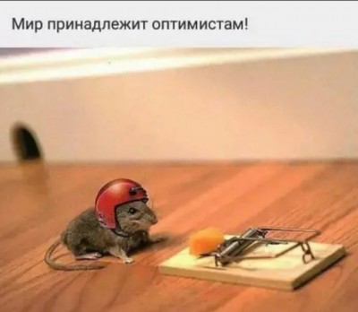 11.jpg (45.3 КБ) 3122 просмотра 11.jpg