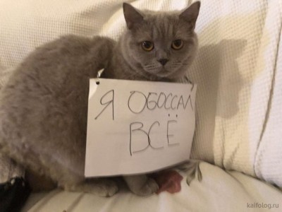 12.jpg (42.88 КБ) 3045 просмотров 12.jpg