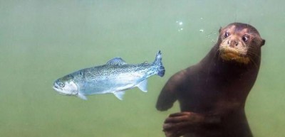 16.jpg (18.37 КБ) 3827 просмотров 16.jpg