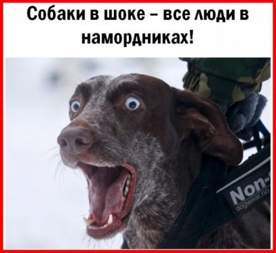 17.jpg (74.07 КБ) 3690 просмотров 17.jpg