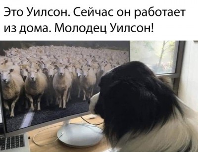 11.jpg (55.92 КБ) 3688 просмотров 11.jpg