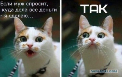 14.jpg (55.81 КБ) 3447 просмотров 14.jpg