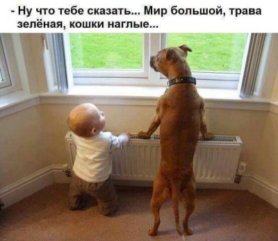 12.jpg (33.55 КБ) 3463 просмотра 12.jpg