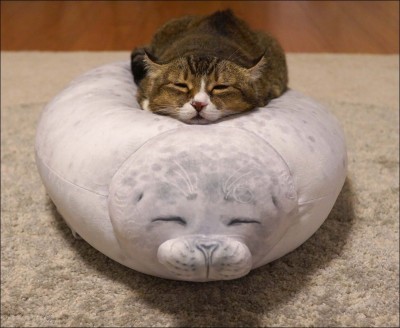 17.jpg (100.86 КБ) 3317 просмотров 17.jpg