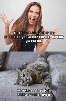 17.jpg (114.15 КБ) 3194 просмотра 17.jpg