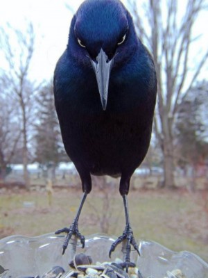 12.jpg (84.61 КБ) 3450 просмотров 12.jpg