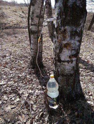 15.jpg (301.83 КБ) 3417 просмотров 15.jpg